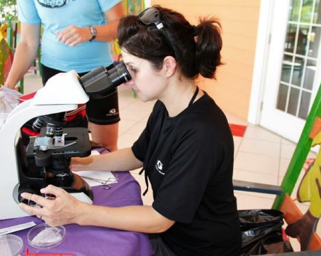 Nicole Boucha of The Georgia Aquarium counts white blood cells in a fresh sample from a stingray - Stingray City 2012 Census © John Bell